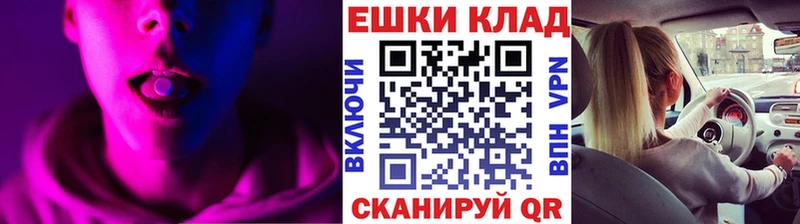 ЭКСТАЗИ Philipp Plein  Новокубанск 