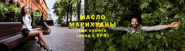 индика Горняк