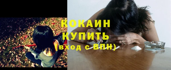 мяу мяу мука Баксан