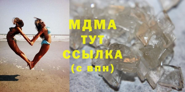 индика Горняк